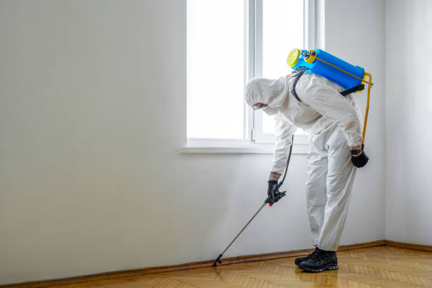 Emergency Pest Control in Terrytown, LA